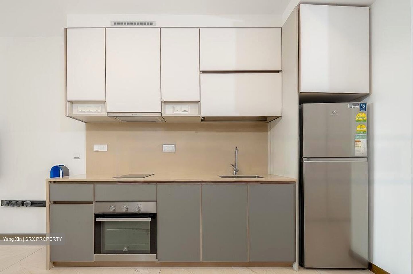 Normanton Park (D5), Apartment #452079661